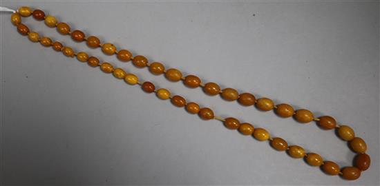 A single strand graduated amber bead necklace, gross 43 grams, 72cm.